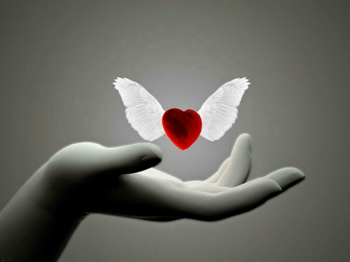winged-heart